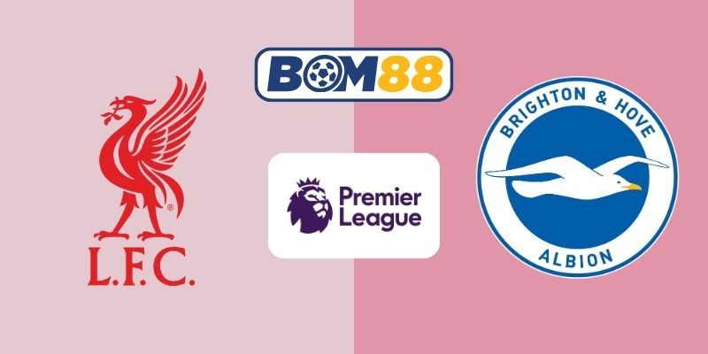 BOM88 Soi kèo Liverpool vs Brighton 22h00 ngày 13/12/2025 - Premier League