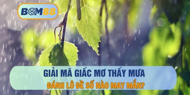 BOM88 Giải mã giấc mơ thấy mưa và những điềm báo tốt gở chi tiết cùng BOM88